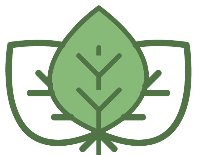 Alt image